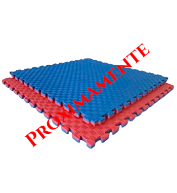 TATAMI (MAT, TAPIZ)...